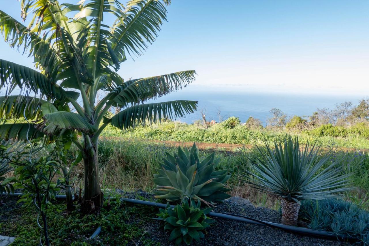 Hrlos Piratas - Ferien Haus La Palma - Good Wlan !! Тихарафе Экстерьер фото