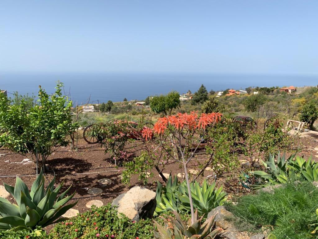 Hrlos Piratas - Ferien Haus La Palma - Good Wlan !! Тихарафе Экстерьер фото