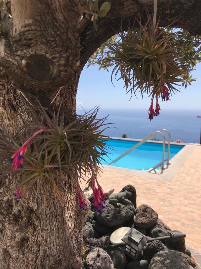 Hrlos Piratas - Ferien Haus La Palma - Good Wlan !! Тихарафе Экстерьер фото
